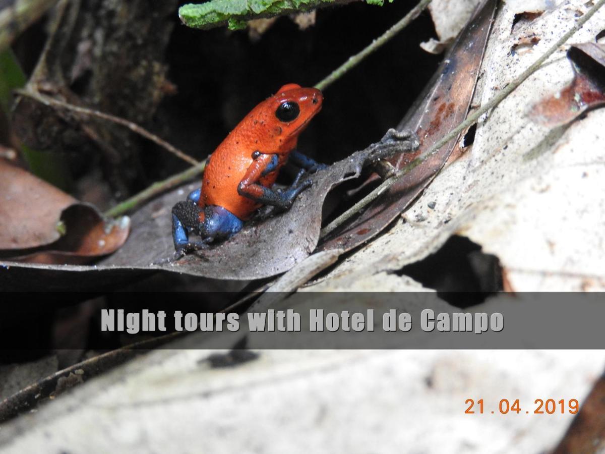 Hotel De Campo Caño Negro エクステリア 写真