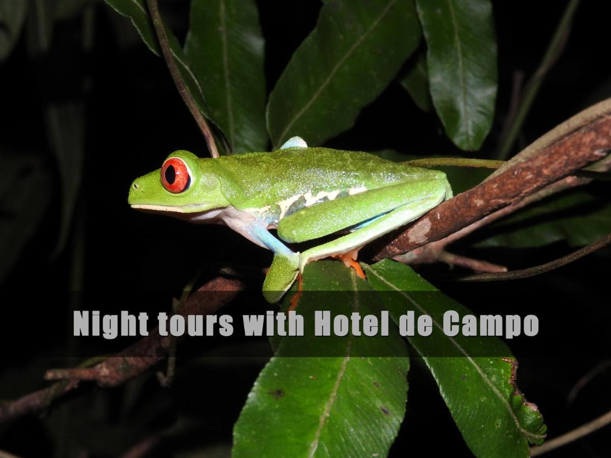 Hotel De Campo Caño Negro エクステリア 写真